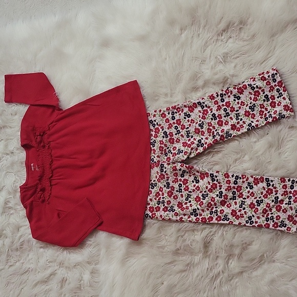 GYMBOREE Toddler girl's matching set- long sleeve shirt and flower pants size 2T - Picture 1 of 8